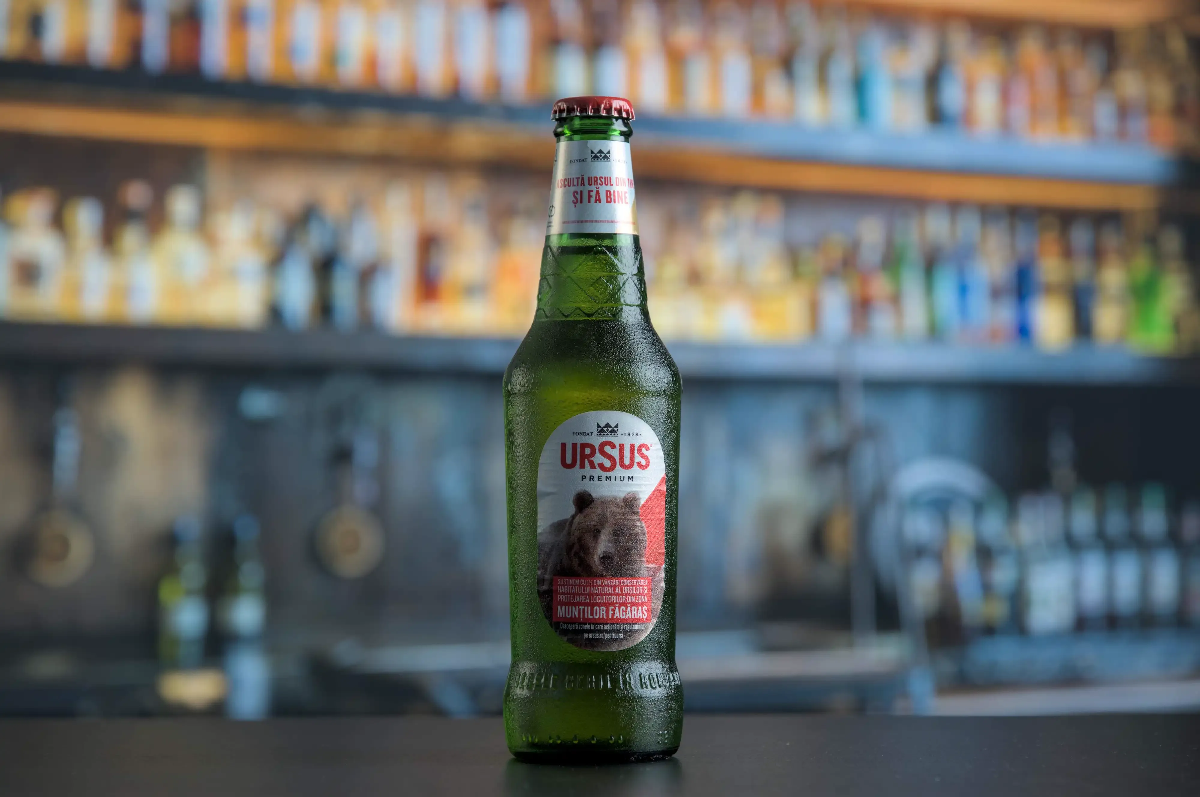 Fotografia de produto de uma garrafa de cerveja em cima de uma mesa de madeira escura com o balcão do bar ao fundo, desfocado.